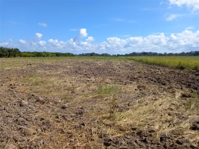 SELL FARM IN ALANJE