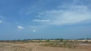 Venta de Terreno con 44554m2 en Tocumen  22-3464SR