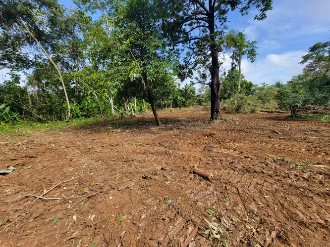 VENDO TERRENO EN CHEPO 4.7 HECTAREAS. CASA  SEMICONSTRUIDA DE 200 MTS!