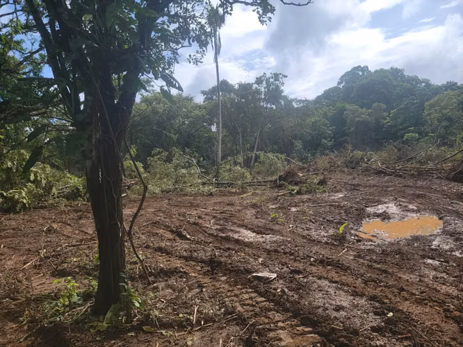 VENDO TERRENO EN CHEPO 4.7 HECTAREAS. CASA  SEMICONSTRUIDA DE 200 MTS!