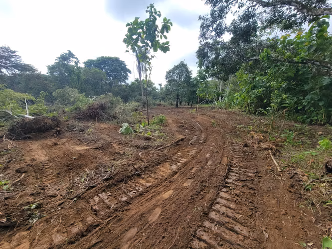 VENDO TERRENO EN CHEPO 4.7 HECTAREAS. CASA  SEMICONSTRUIDA DE 200 MTS!