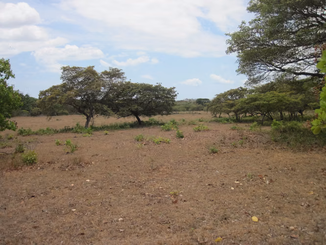 SE VENDE TERRENO PLANO EN EL CHIRU