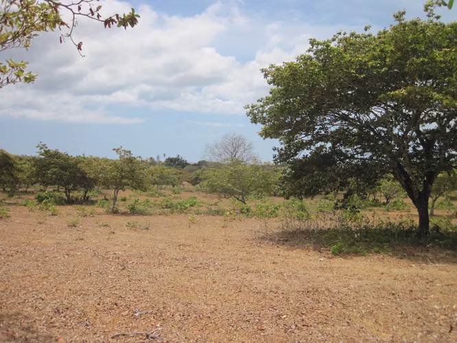 SE VENDE TERRENO PLANO EN EL CHIRU