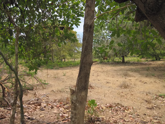 SE VENDE TERRENO PLANO EN EL CHIRU