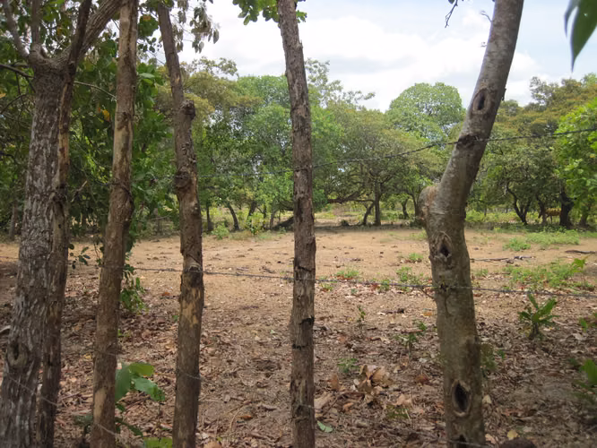 SE VENDE TERRENO PLANO EN EL CHIRU
