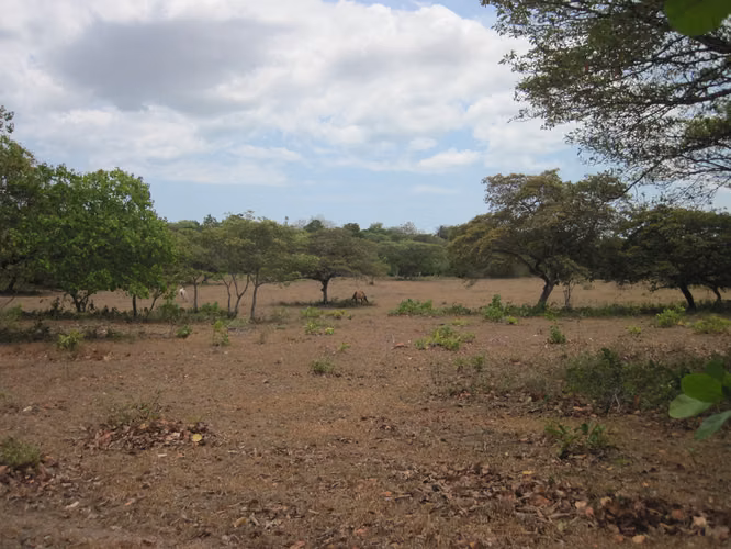 SE VENDE TERRENO PLANO EN EL CHIRU