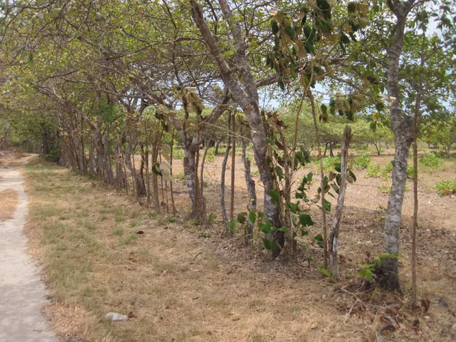 SE VENDE TERRENO PLANO EN EL CHIRU