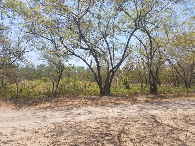 Se vende Terreno FRENTE DE PLAYA y carretera OV