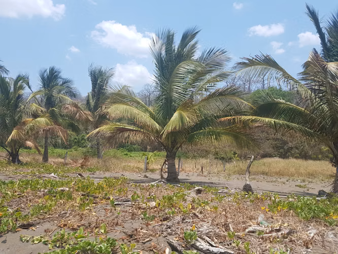 Se vende Terreno FRENTE DE PLAYA y carretera OV