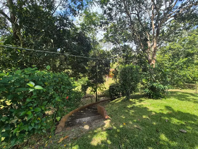 VENTA DE FINCA AGROTURISTICA EN PORTOBELO