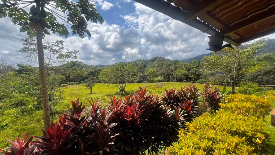 VENTA DE FINCA AGROTURISTICA EN PORTOBELO