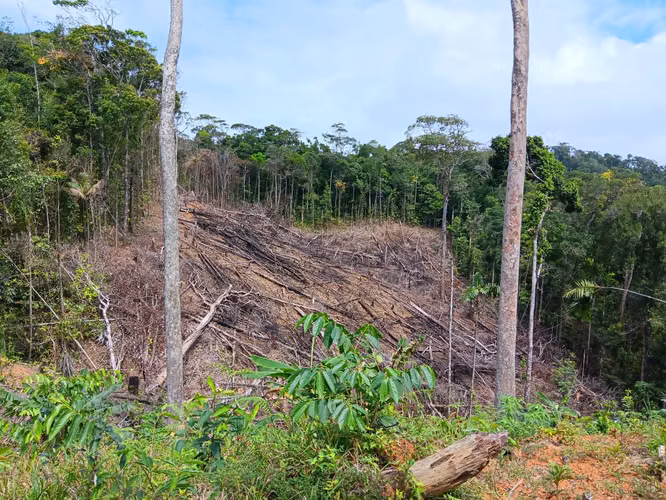 AAA FINCA EN LLANO CARTÍ, CHEPO