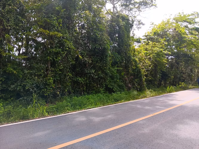 AAA FINCA EN LLANO CARTÍ, CHEPO