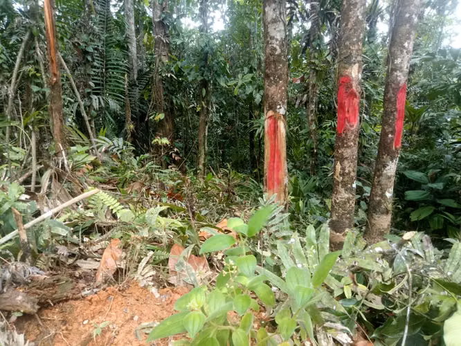 AAA FINCA EN LLANO CARTÍ, CHEPO