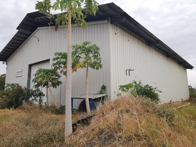 Alquiler de Galera de 600 m² en El Espinal, Las Tablas - Imagen 2