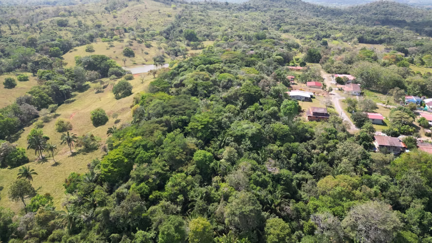 Venta Terreno en Chorrera, Cerca a la Vía Interamericana, 5.5 hectáreas