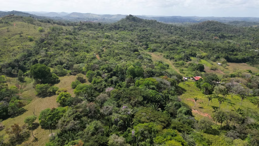 Venta Terreno en Chorrera, Vía Interamericana, 9.9 hectáreas - Imagen 17