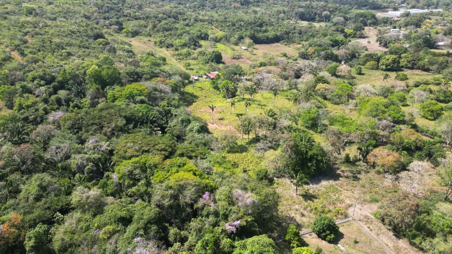 Venta Terreno en Chorrera, Vía Interamericana, 9.9 hectáreas - Imagen 4