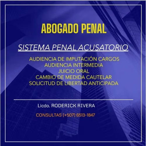 ABOGADO PENAL