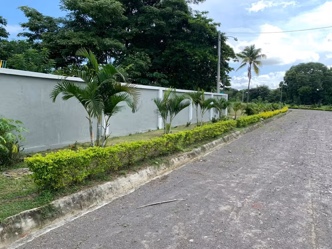 Vendo terreno en “Gorgona” de 642m2, especial $62,000 negociable - Imagen 3