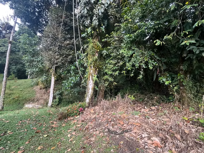 Se Vende terreno en Altos del María - San Carlos.