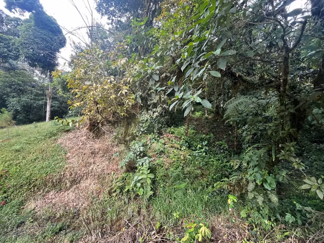 Se Vende terreno en Altos del María - San Carlos.