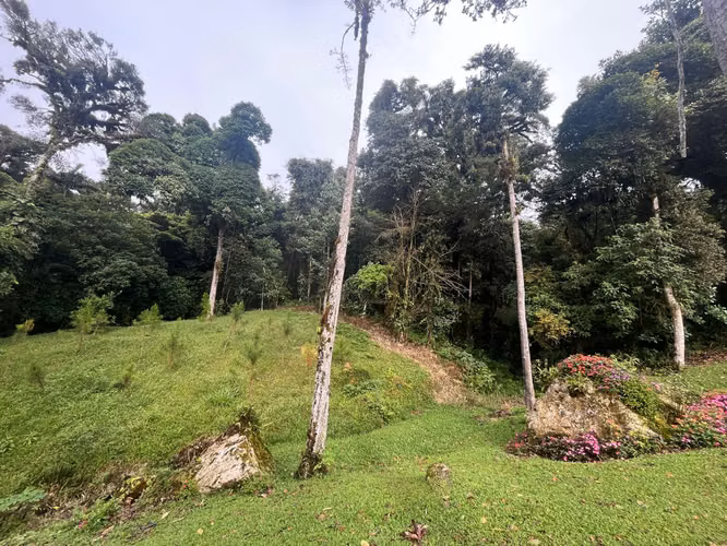Se Vende terreno en Altos del María - San Carlos.