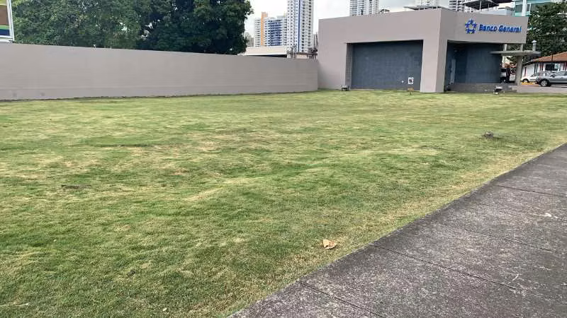 Venta Terreno en San Francisco - Vía Porras cerca a Calle 50. Zonificación MAB - Imagen 3
