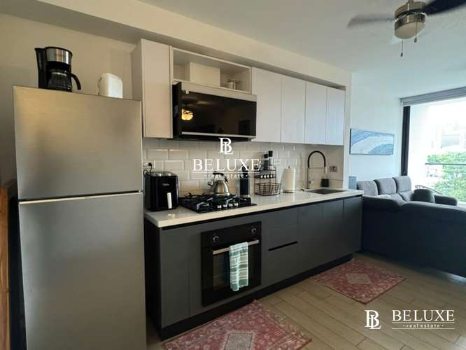 ALQUILER DE APARTAMENTO EN PH LOV, SAN FRANCISCO (6)