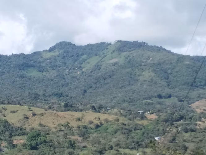 Venta de Terreno 53 hectáreas en Sorá - Imagen 2