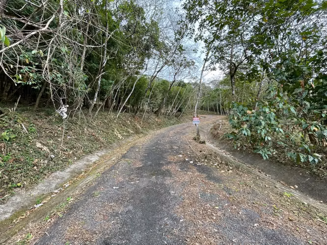 EXTRAORDINARO TERRENO DE 1.67 HECTAREAS EN EL VALLE