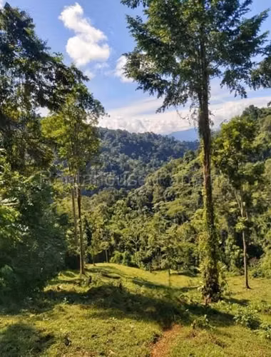 Land for sale in Bocas del Toro YM