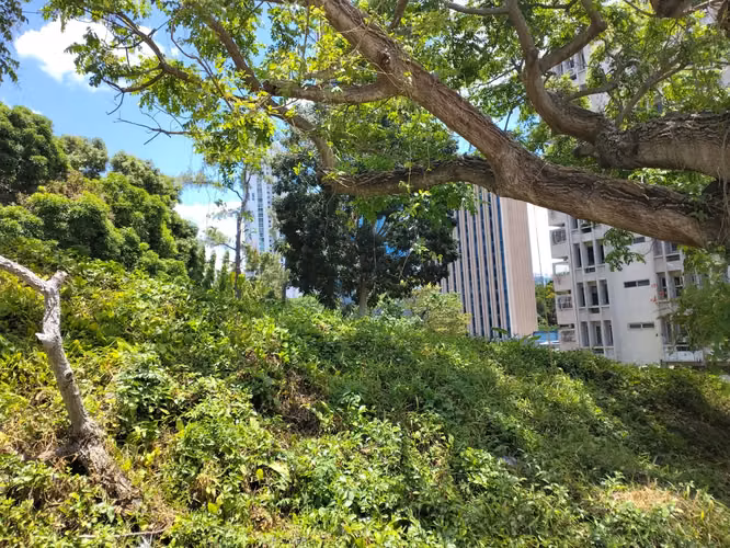 Venta de terreno en La Cresta - Imagen 11