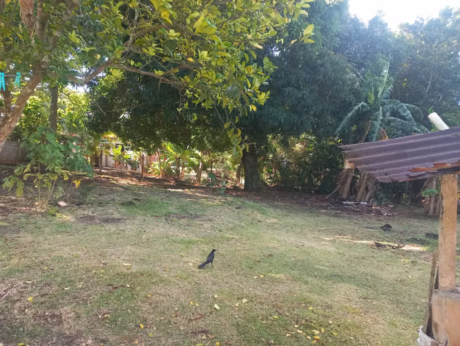 Se vende 1000mt2 y casa en Vista Alegre, Casco Antiguo, Arraijan