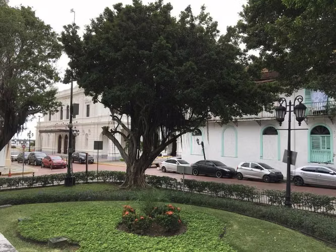 Terreno en Venta en Casco Antiguo  CIG22478