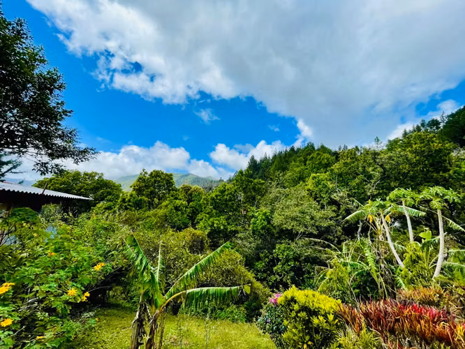 Casa de Montaña Cerca de Cascadas en Altos de María - Imagen 6
