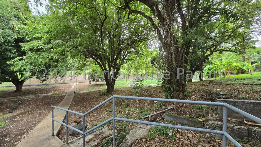 Apartamento en Venta en Carrasquilla  JG