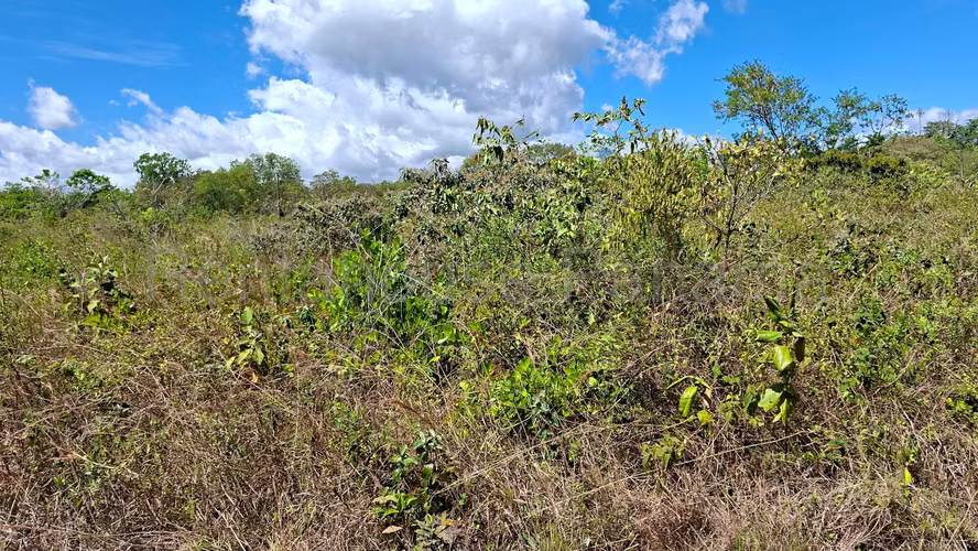 VENTA DE TERRENO EN POTRERILLOS ABAJO MCD26-5634