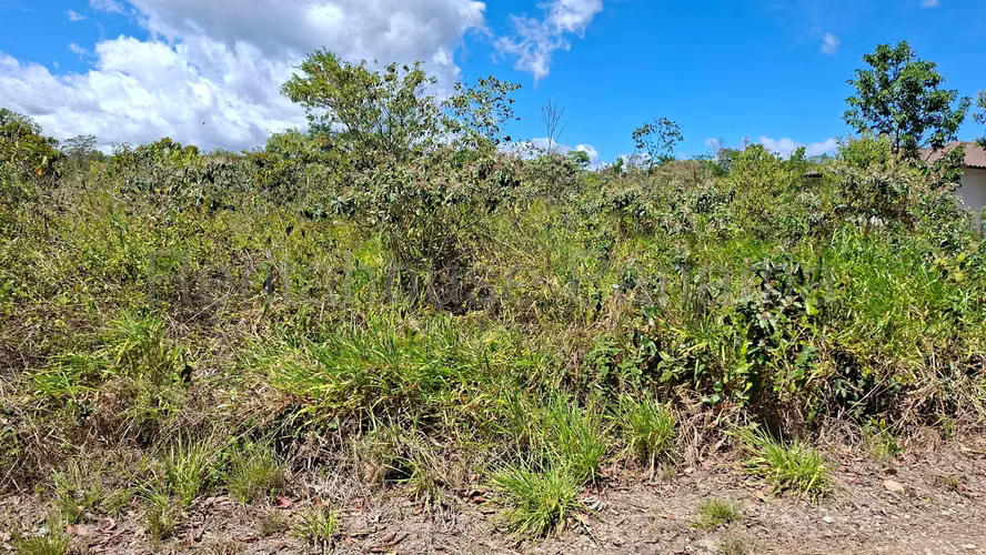 VENTA DE TERRENO EN POTRERILLOS ABAJO MCD26-5634