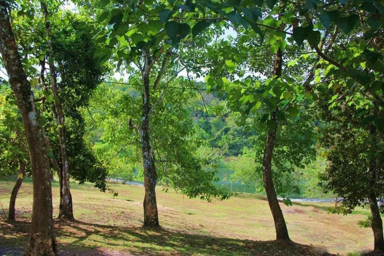 Lote de 2,852 M2 - El Arado de La Chorrera - Brisas de Los Lagos en Venta