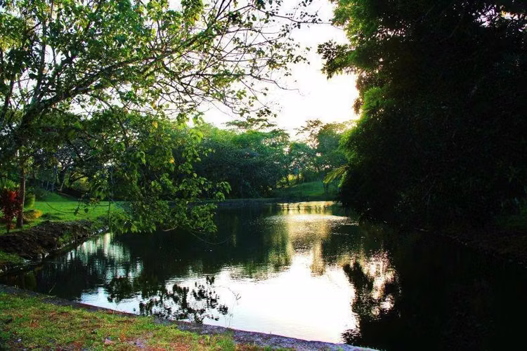 Lote de 2,852 M2 - El Arado de La Chorrera - Brisas de Los Lagos en Venta