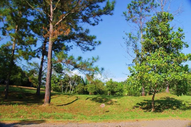 Lote de 2,852 M2 - El Arado de La Chorrera - Brisas de Los Lagos en Venta
