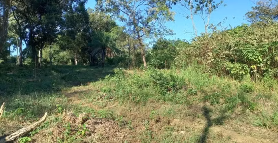 Oportunidad en Chiriquí | 6,000 m² | Ideal para Inversión o Proyecto $180,000 - Imagen 3