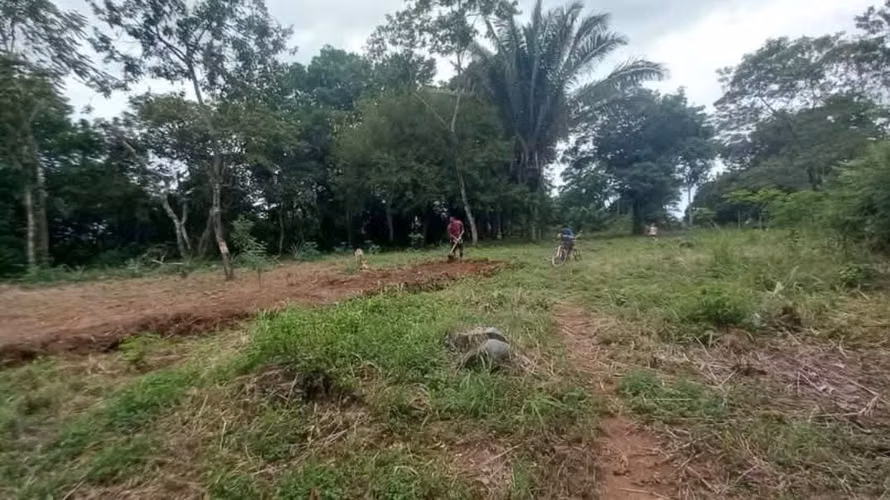 Oportunidad en Chiriquí | 6,000 m² | Ideal para Inversión o Proyecto $180,000 - Imagen 5