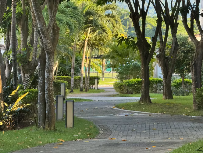 VIVE EL EQUILIBRIO PERFECTO EN RIVER VALLEY – PANAMÁ PACÍFICO