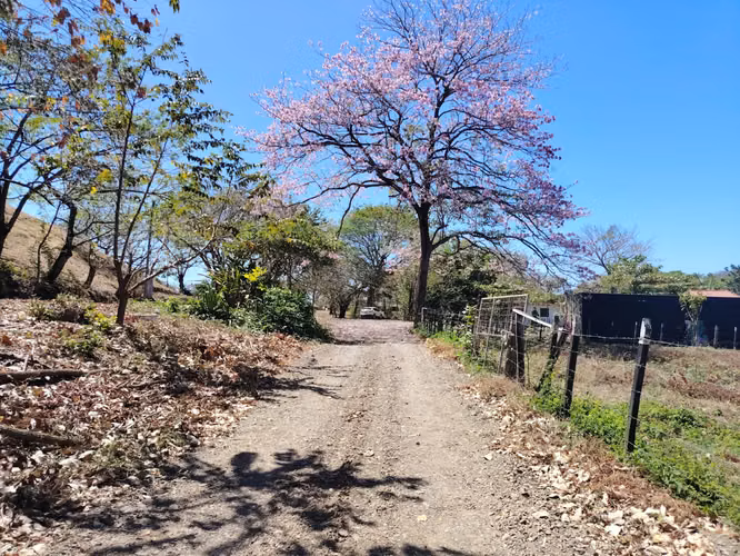 Terreno en venta en Playa Guánico, Tonosí – A pasos del mar