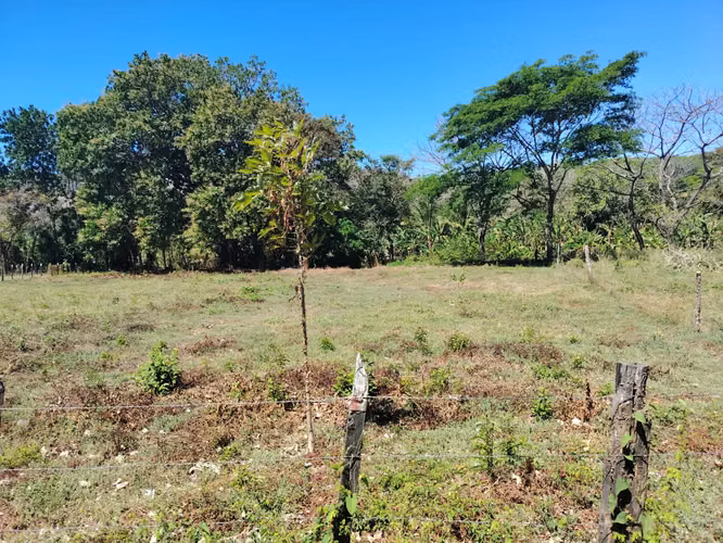 Terreno en venta en Playa Guánico, Tonosí – A pasos del mar