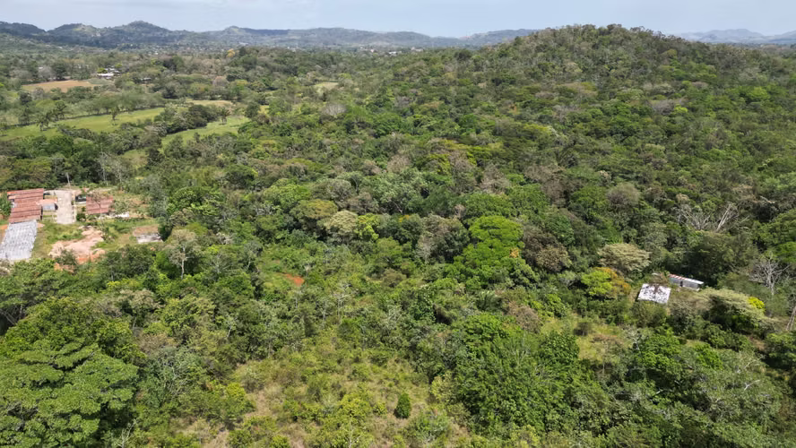 Venta de Finca en El Espino, La Chorrera, 19.6 hectáreas