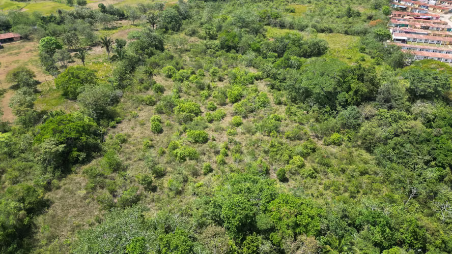 Venta de Finca en El Espino, La Chorrera, 19.6 hectáreas