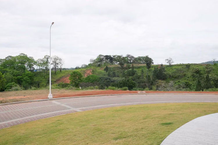 Land For Sale In Panama North YM